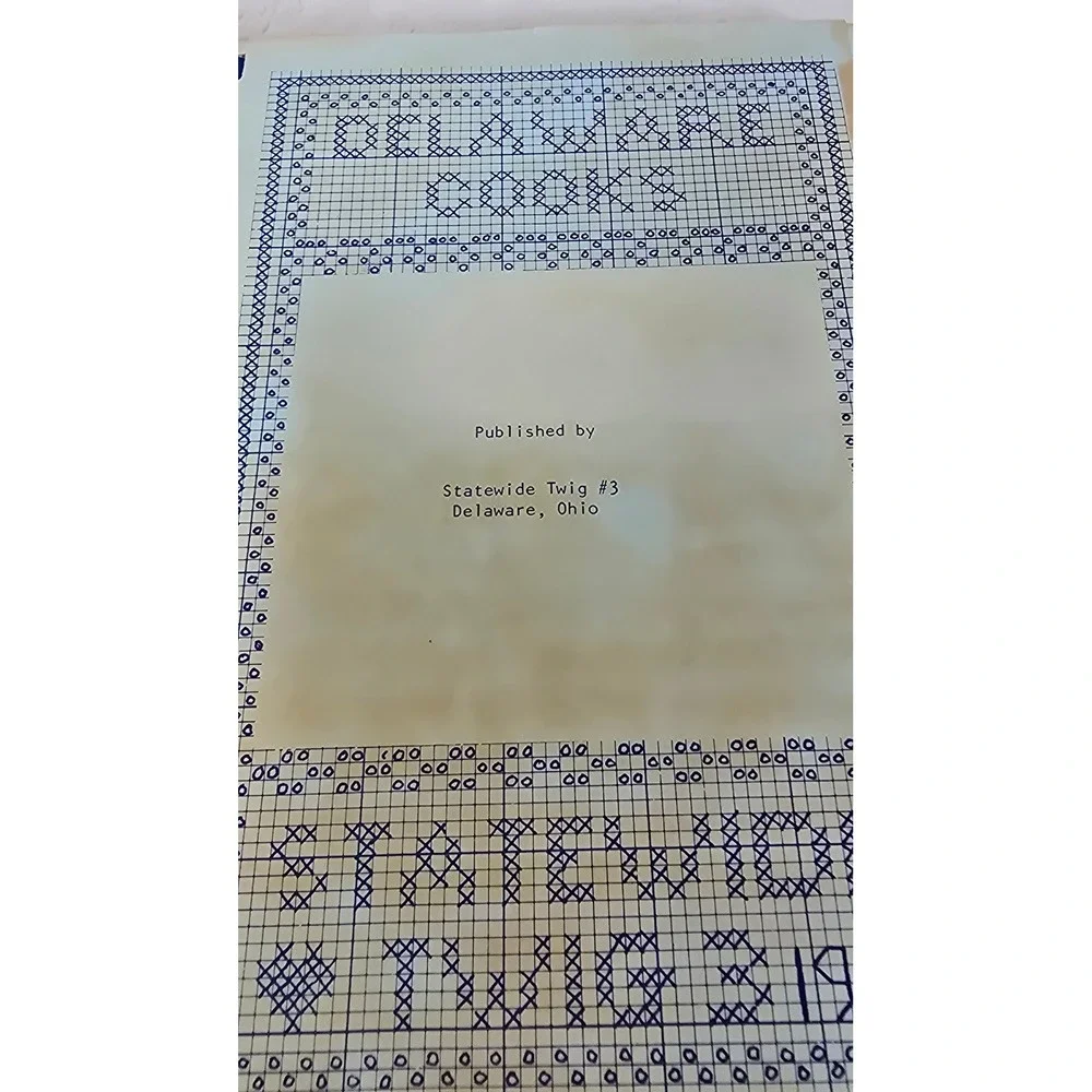 Vintage Delaware Ohio Community Cookbook Lot St Marys Church Statewide Twig 3